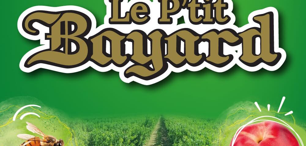 LOGO P'TIT BAYARD