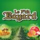 LOGO P'TIT BAYARD