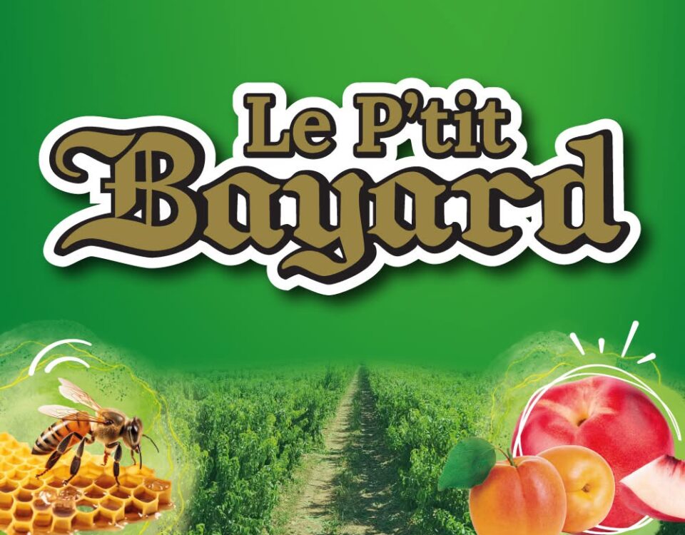 LOGO P'TIT BAYARD