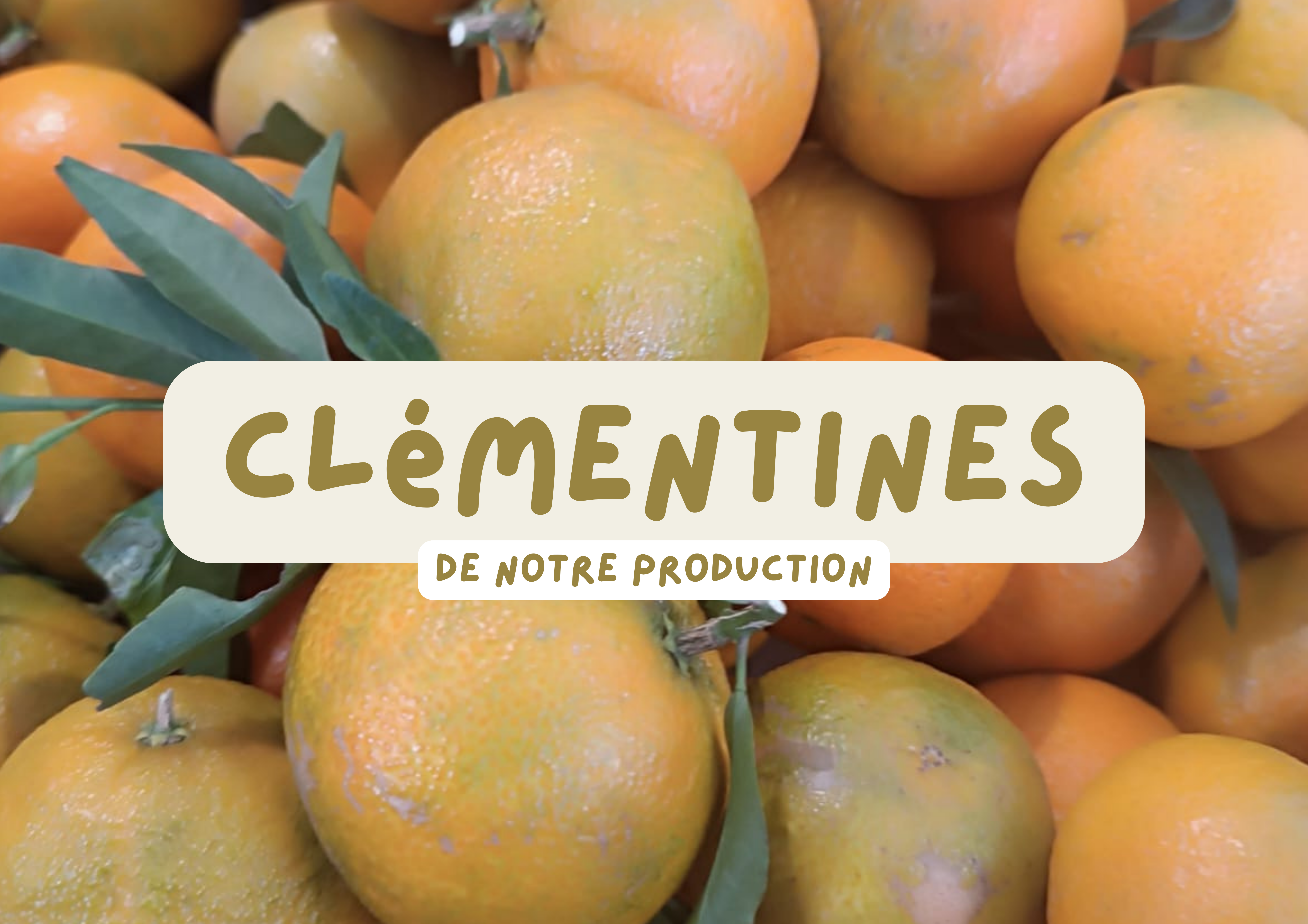 Clémentines